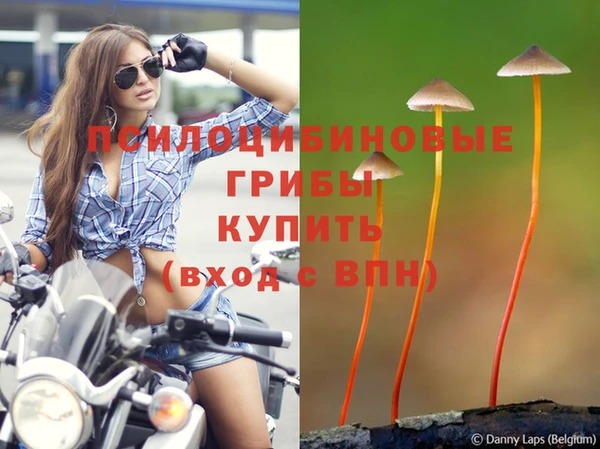герыч Баксан